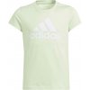 adidas Big Logo Tee svetlo zelená biela