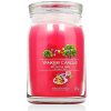 YANKEE CANDLE Signature Art in the Park 567 g