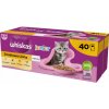 WHISKAS Junior hydinová pochúťka vlhké krmivo pre mačiatka v želé 40x85 g
