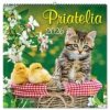 Priatelia 2026 - nástenný kalendár