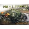 100+1 Sudoku + citáty slavných (podzim 2010) - Miroslav Matěcha