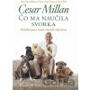 Čo ma naučila svorka - Cesar Millan