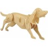 Woodcraft Drevené 3D puzzle Pes