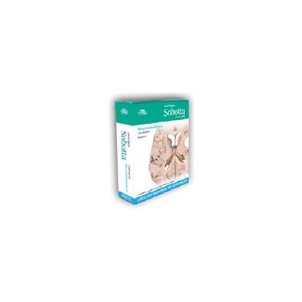 Anatomia Sobotta Flashcards Neuroanatomia Od 14 19 Heureka sk