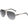 Relax Condore - R2288D/Shiny Silver/Gray Cloud/Polarized one size