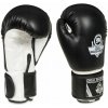 Boxerské rukavice DBX BUSHIDO ARB-407a 16 oz