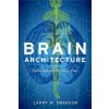 Brain Architecture