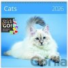 Cats nástěnný 2026