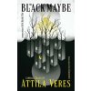 Black Maybe (Steve Rasnic Tem)(Brožovaná)