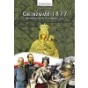 Gietrzwałd 1877. Nieznane konteksty geopolityczne. Wydanie III ilustrowane