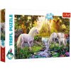 Puzzle Trefl 100 dielikov Puzzle Tajná záhrada 100