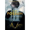 Temné sekundy - Karin Fossum