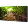 Foto obraz na plátne Schody v lese 100x50 cm