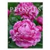 Peonies (Claire Austin)(Pevná)