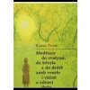 Meditace do svatyně, do křesla a do deště aneb vesele i vážně o zdraví duše - Karel Funk