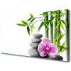 Obraz Canvas Bambus kamene zen umenie 100x50 cm