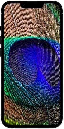 Apple iPhone 13 Pro Max 256GB