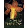 Izbové rastliny Ottov atlas - Haager Jiří R.