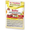 Floraservis Bellis 13 g