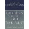 Theology of the Old Testament (William Marcellus McPheeter Brueggemann)(Brožovaná)