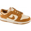 Nike WMNS DUNK LOW hj7673-100