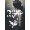 Ptáci se zlomenými křídly - Ayse Kulinová