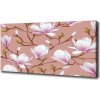 Moderný fotoobraz canvas na ráme Magnólie 100x50 cm