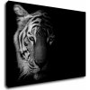 Impresi Obraz Tiger čiernobiely - 70 x 50 cm