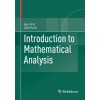 Introduction to Mathematical Analysis (Igor Kriz,Ales Pultr)(Brožovaná)