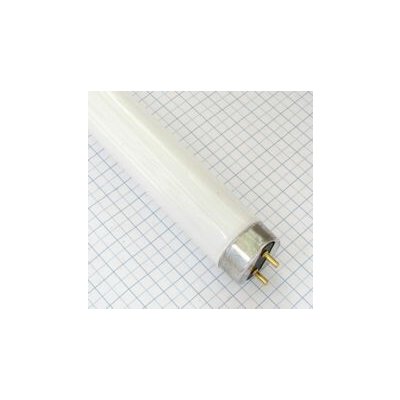 Narva BEL Žiarivka 6W T5 studená biela 16x212mm