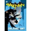 Batman 8 Chladné dny - Tom King; Tony S. Daniel