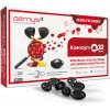 Barny's Koenzým Q10 Dual 60 mg 30 kapsúl
