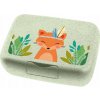 Koziol Box Candy Harry L