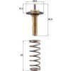 Termostat chladenia MAHLE TX 311 90D TX 311 90D