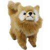 Detská plyšová hračka Hansa Creation - Pomeranian psík 23 cm uni