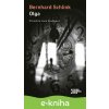 E-kniha Olga - Bernhard Schlink