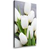 Vertikálny foto obraz na plátne Biele tulipány 50x100 cm