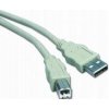 Gembird AM-BM USB 2.0 3M USB kábel (CC-USB2-AMBM-10)