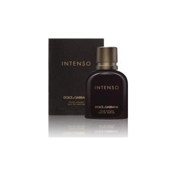 Dolce & Gabbana Intenso toaletná voda pánska 125 ml