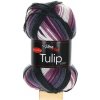 Tulip Color 5214