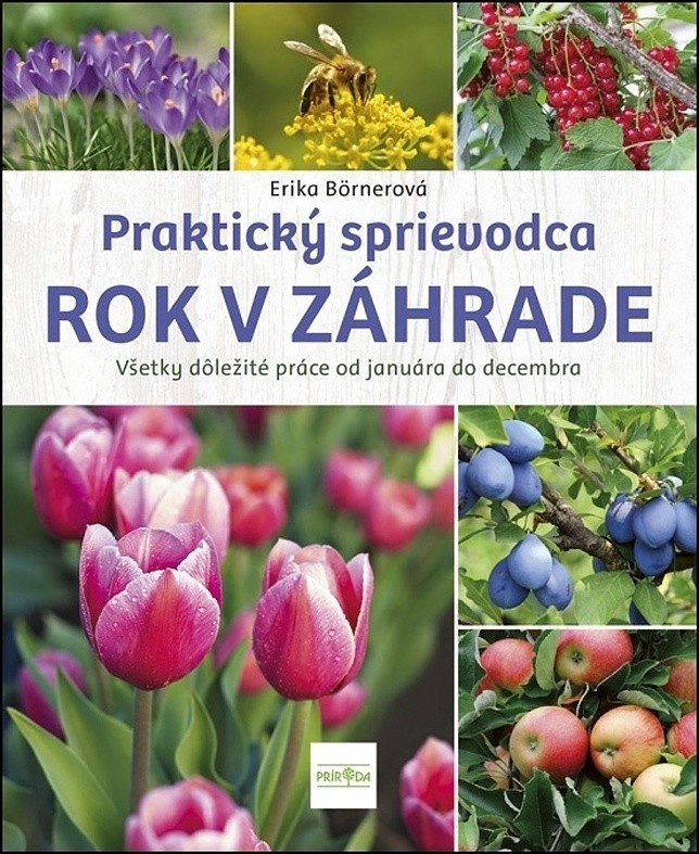 Rok v záhrade - Börnerová Erika