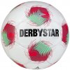 Lopta Derbystar Tempo APS v25 Match Ball 14595-134 Veľkosť 5