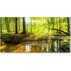 Foto obraz sklo tvrzené Rybník v lese 100x50 cm