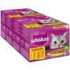 Jumbobalenie Whiskas 1+ Adult kapsičky 144 x 85 g - hydinový výber v omáčke