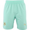 Pánske futbalové šortky Puma, SKS Shorts Promo tyrkysová,zlatá M