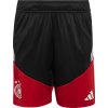 adidas Germany Tiro 26 Training Kids kb4466