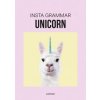 Insta Grammar: Unicorn (Irene Schampaert)(Pevná)