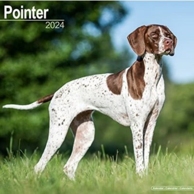 Pointer Square Dog Breed Wall 16 Month 2024