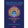Tantrická jóga a transformační síla Bohyně - David Frawley