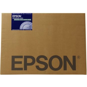 Epson C13S042110